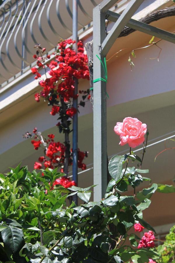 Apartments With A Parking Space Orebic, Peljesac - 10159 מראה חיצוני תמונה